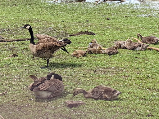 Nature Preserve «Tifft Nature Preserve», reviews and photos, 1200 Fuhrmann Boulevard, Buffalo, NY 14203, USA