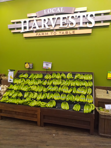 Supermarket «Big Y», reviews and photos, 1180 Thorndike St, Palmer, MA 01069, USA