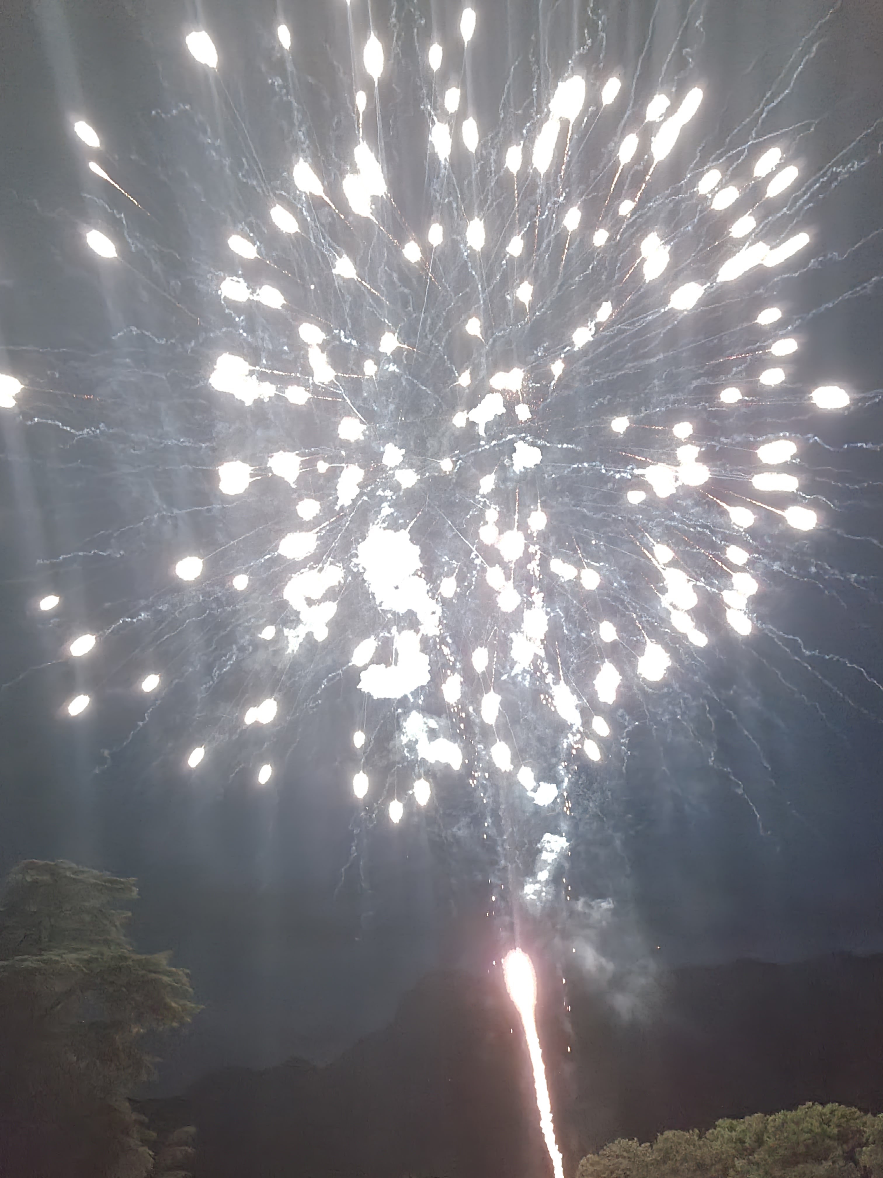 Photo n° 9 de l'avis de ML.E fait le 17/07/2022 à 19:52