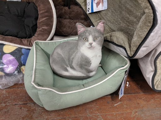 Pet Supply Store «Higbie Farm Supplies Inc», reviews and photos, 3440 Union St, North Chili, NY 14514, USA