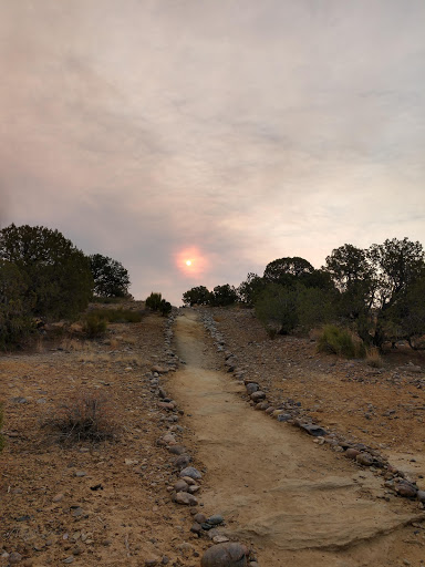 Community College «San Juan College», reviews and photos