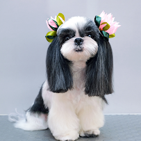 Purrfectly Pampered Paws Salon and Spa - Photo 3 - Car repair in Lancaster, CA, Palmdale