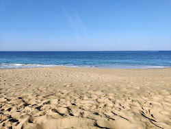 Foto von Playa Faro de Trafalgar wilde gegend