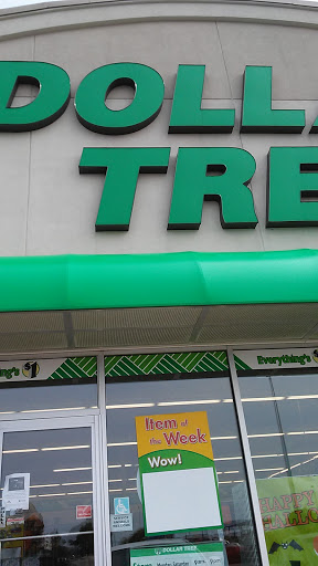 Dollar Store «Dollar Tree», reviews and photos, 1420 S Centerville Rd, Sturgis, MI 49091, USA