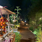 Photo n°4 de l'avis de Ivan.e fait le 20/08/2022 à 22:36 sur le  Restaurant Boccaccio à Santa Maria di Leuca