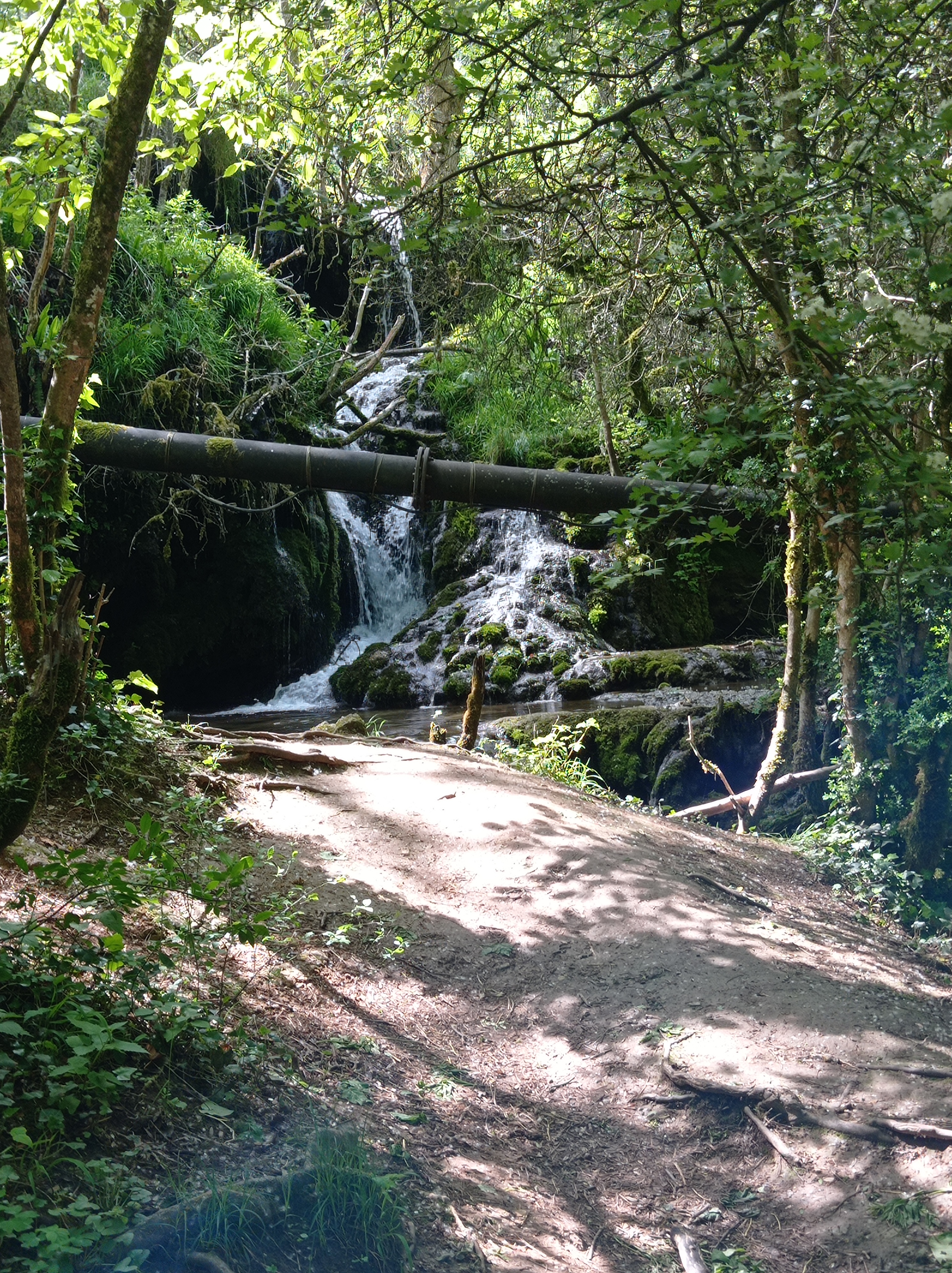 Photo n° 2 de l'avis de Voir.e fait le 15/05/2021 à 12:53