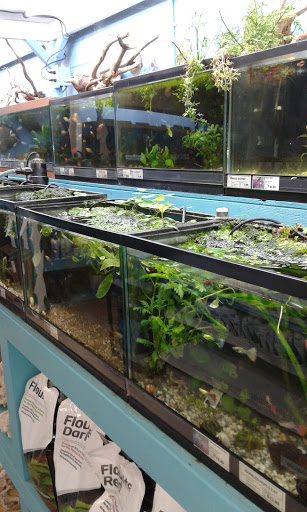 Pet Store «Hendersonville Pet Shop», reviews and photos, 1400 Spartanburg Hwy, Hendersonville, NC 28792, USA