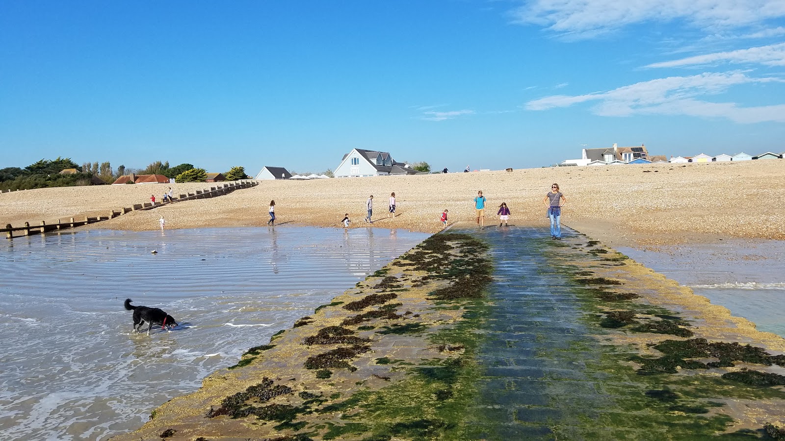 Ferring Beach photo #8