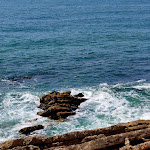 Photo n°18 de l'avis de Adefa.e fait le 12/10/2021 à 19:03 sur le  Restaurante A Rocha à Praia do Pedrógão