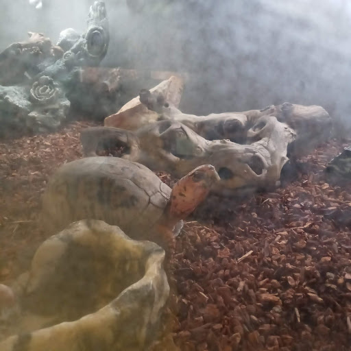 The Teaching Zoo at Moorpark College image
