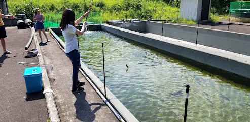 中魚沼(漁協) 釣り堀