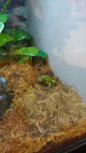 Pet Supply Store «Petco Animal Supplies», reviews and photos, 4751 W 29th St, Greeley, CO 80634, USA