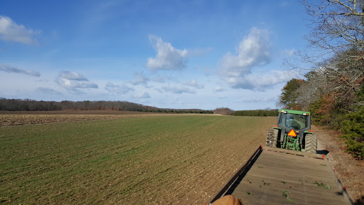 Farm «Lewin Farms», reviews and photos, 812 Sound Ave, Calverton, NY 11933, USA