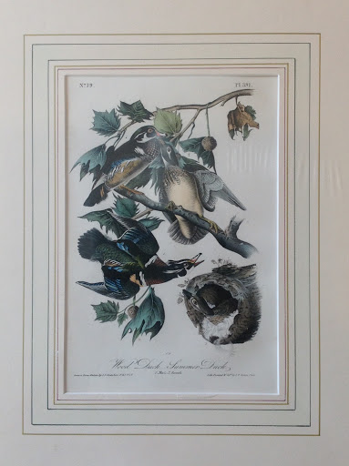 Map Store «Carolina Antique Maps and Prints», reviews and photos, 91 Church St, Charleston, SC 29401, USA