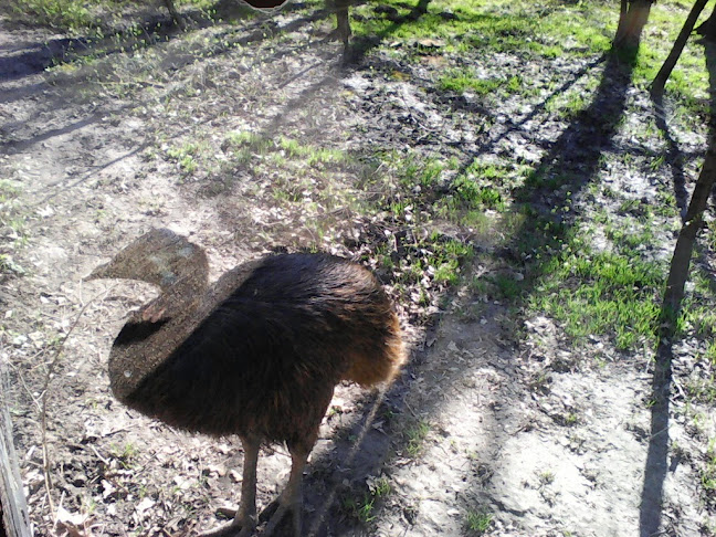 Értékelések erről a helyről: Zoofoto Kft., Cserszegtomaj - Fényképész