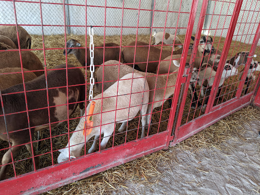 Produce Market «Didier Farms», reviews and photos, 16678 Aptakisic Rd, Lincolnshire, IL 60069, USA