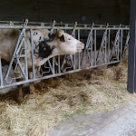 Photo n°8 de l'avis de marcofabris.a fait le 12/12/2017 à 21:23 sur le  Agriturismo Palasina Noa à Calcinate