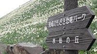 水仙の里展望台