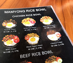 Magic Monkey Ricebowl photo