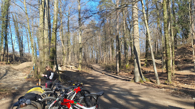 Rezensionen über Bikepark Bülach in Bülach - Sportstätte