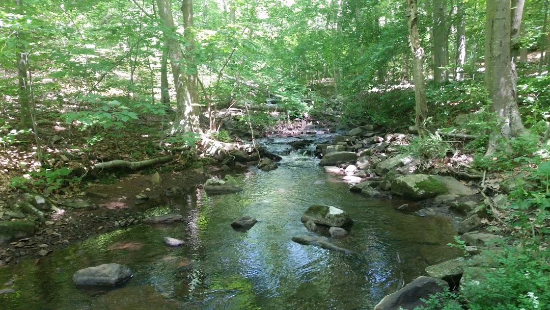 Dismal Harmony Natural Area