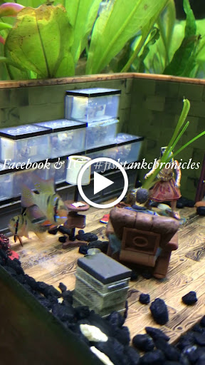 Pet Supply Store «Petland Discounts - Park Slope», reviews and photos, 510 5th Ave, Brooklyn, NY 11215, USA