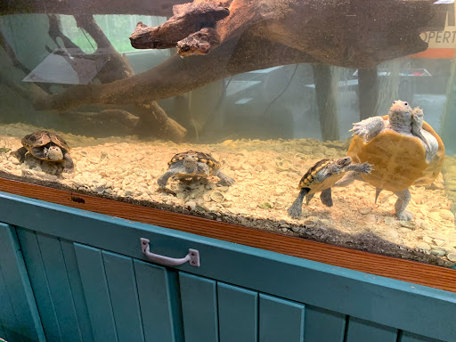 Nature Preserve «Calusa Nature Center & Planetarium», reviews and photos, 3450 Ortiz Ave, Fort Myers, FL 33905, USA