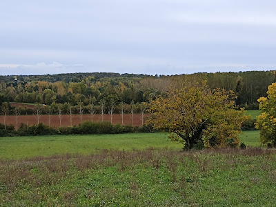 Commune de Cloue à Cloué