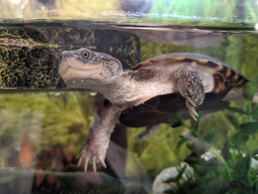 Pet Supply Store «PetSmart», reviews and photos, 16086 Jackson Creek Pkwy, Monument, CO 80132, USA