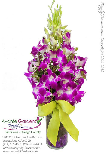 Florist «Avante Gardens Florist», reviews and photos, 1609 McFadden Ave, Santa Ana, CA 92705, USA