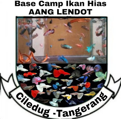 Base Camp Ikan Hias AANG LENDOT
