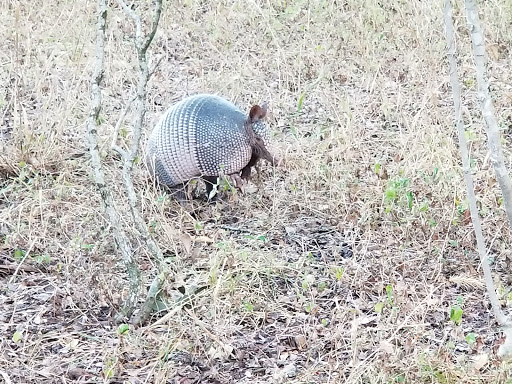 Nature Preserve «Jackson Nature Park», reviews and photos, 9284 County Rd 401, Stockdale, TX 78160, USA