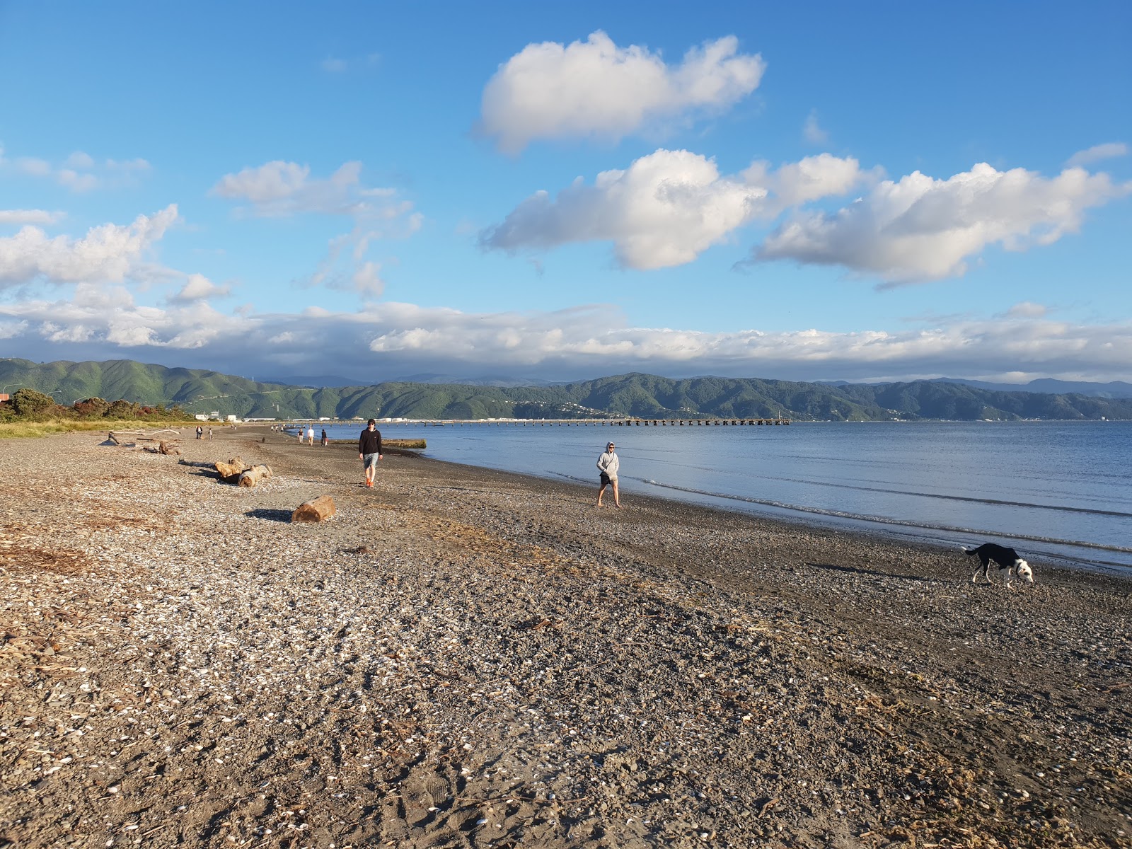 Zdjęcie Petone Beach z powierzchnią szary piasek i kamyczki