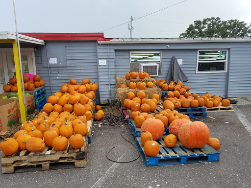 Produce Market «Jams Produce», reviews and photos, 1451 Clearwater Largo Rd N, Largo, FL 33770, USA