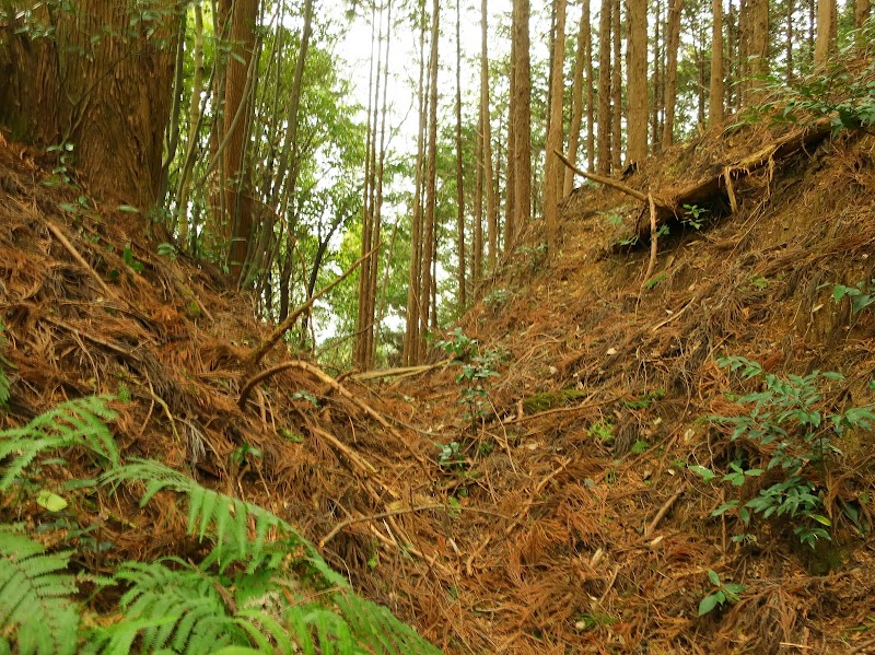 稲垣城跡