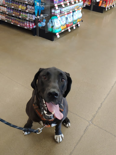 Pet Supply Store «Pet Supplies Plus», reviews and photos, 955 Co Rd E East #100, Vadnais Heights, MN 55127, USA