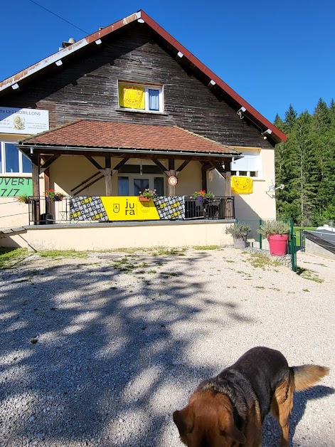 Gite les Morillons: gîte de groupe avec salles de jeux, cours d'eau La Saine proche de la Cascades du Hérisson dans le Jura à Foncine-le-Bas (Jura 39)