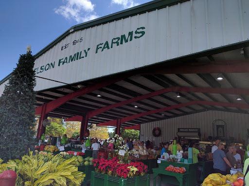 Produce Market «Nelson Family Farms», reviews and photos, 875 W Midway Rd, Fort Pierce, FL 34982, USA