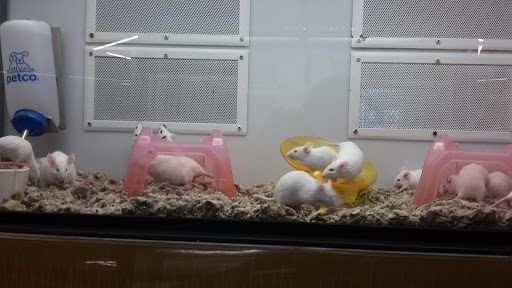 Pet Supply Store «Petco Animal Supplies», reviews and photos, 10 Waterfront Pl, Port Chester, NY 10573, USA