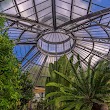 Palm Greenhouse