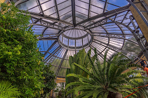 Palm Greenhouse