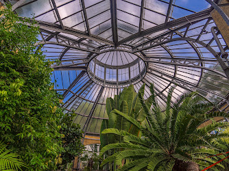 Palm Greenhouse