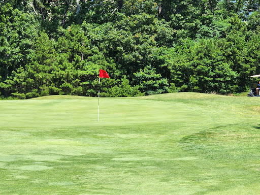 Golf Club «Mink Meadows Golf Club», reviews and photos, 320 Golf Club Rd, Vineyard Haven, MA 02568, USA