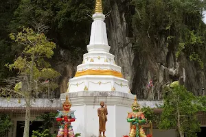 Wat Tham Phraphut Kosi (Wat Nai Tao) image