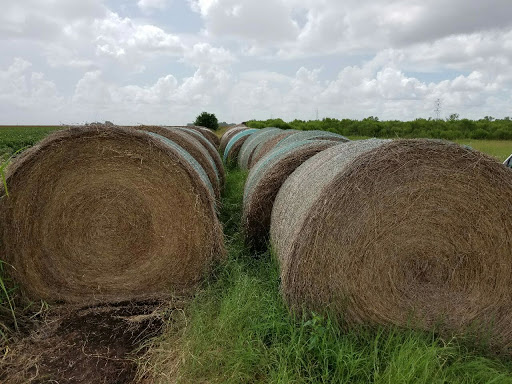 Social Services Organization «Office Of The Attorney