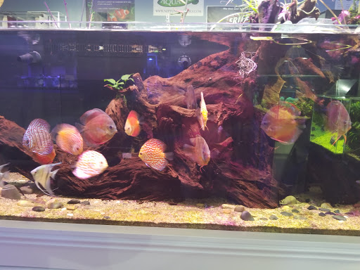 Tropical Fish Store «Neptune Aquatics», reviews and photos, 1238 N 5th St, San Jose, CA 95112, USA