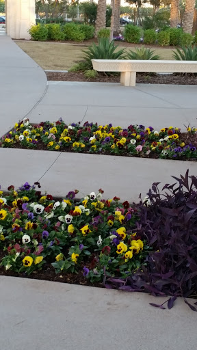 Park «Discovery Park», reviews and photos, 2214 E Pecos Rd, Gilbert, AZ 85297, USA