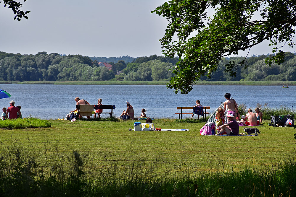 Photo de Hundestrand Dahmen - bon endroit convivial pour les animaux de compagnie pour les vacances