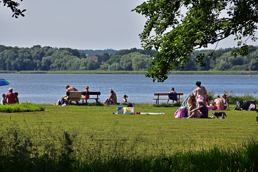 Foto von Hundestrand Dahmen und die siedlung