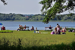Photo de Hundestrand Dahmen - bon endroit convivial pour les animaux de compagnie pour les vacances